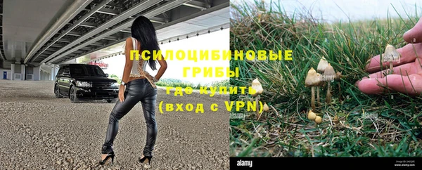 дживик Абинск