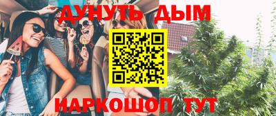 PSILOCYBIN Славгород