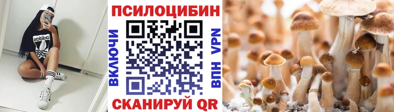 Псилоцибиновые грибы мухоморы  Арсеньев 