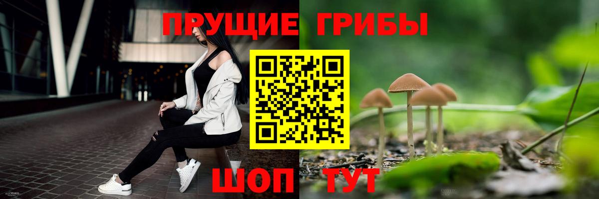 Псилоцибиновые грибы Psilocybe Арсеньев